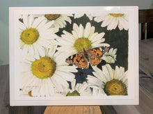 Load image into Gallery viewer, Daisies and Butterfly Print, "Radiance"
