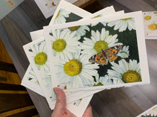 Load image into Gallery viewer, Daisies and Butterfly Greeting Card, "Radiance"