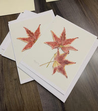 Load image into Gallery viewer, Maple Leaves Notecards, "Autumn Leaves" - pack of 3