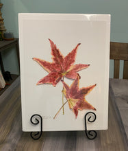 Load image into Gallery viewer, Maple Leaf print, "Autumn Leaves"