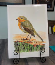Load image into Gallery viewer, European Robin Print, "A Momentary Pause"