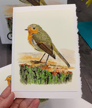 Load image into Gallery viewer, European Robin Greeting Card, "A Momentary Pause"