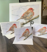 Load image into Gallery viewer, Red House Finch Notecards, pack of 3