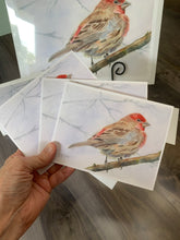 Load image into Gallery viewer, Red House Finch Notecards, pack of 3