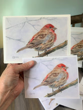 Load image into Gallery viewer, Red House Finch Notecards, pack of 3