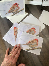 Load image into Gallery viewer, Red House Finch Notecards, pack of 3