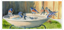 Load image into Gallery viewer, Bluebirds Birdbath Greeting Card, "Gathering of Friends"