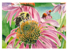 Load image into Gallery viewer, Bumblebee on Echinacea Greeting Card, "Bumble Along"