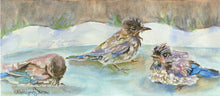 Load image into Gallery viewer, Baby Bluebirds Bathing Greeting Card, "Fledgling Birdbath"
