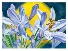 Load image into Gallery viewer, Honeybee on Agapanthus Notecards, pack of 3