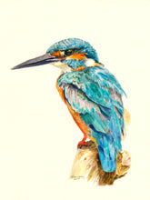 Load image into Gallery viewer, Kingfisher Notecards, pack of 3, "Hypervigilance