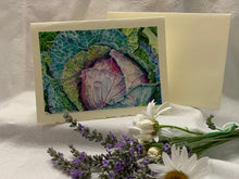 Load image into Gallery viewer, Cabbage Greeting Card, "Humble Glory"