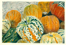Load image into Gallery viewer, Squash Basket Notecards, "Sweet Dumpling", pack of 3