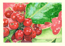 Load image into Gallery viewer, Holly Notecards, pack of 3