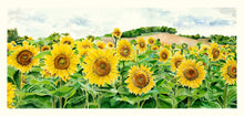 Load image into Gallery viewer, Sunflower Print, "Hopeful Faces"