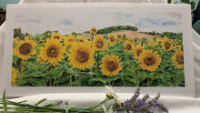 Load image into Gallery viewer, Sunflower Print, "Hopeful Faces"