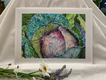 Load image into Gallery viewer, Cabbage Print, "Humble Glory"