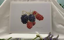 Load image into Gallery viewer, Blackberries "Little Gems" Print