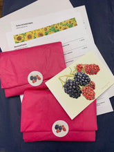 Load image into Gallery viewer, Monarch Butterfly Notecards, "The Monarch"