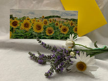Load image into Gallery viewer, Sunflower Greeting Cards, "Hopeful Faces"