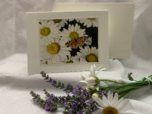 Load image into Gallery viewer, Daisies and Butterfly Greeting Card, "Radiance"