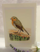 Load image into Gallery viewer, European Robin Greeting Card, "A Momentary Pause"
