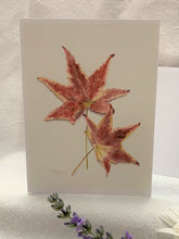 Load image into Gallery viewer, Maple Leaves Notecards, "Autumn Leaves" - pack of 3