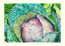 Load image into Gallery viewer, Cabbage Notecards, "Humble Glory", pack of 3
