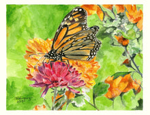 Load image into Gallery viewer, Monarch Butterfly Notecards, "The Monarch"
