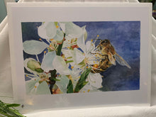 Load image into Gallery viewer, Honeybee on White Cherry Blossom Print, "Buzz Worthy"