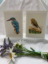 Load image into Gallery viewer, Kingfisher Greeting Card, "Hypervigilance"