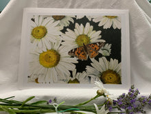 Load image into Gallery viewer, Daisies and Butterfly Print, "Radiance"