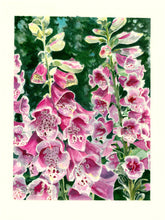 Load image into Gallery viewer, Foxglove Print, "Healing for the Heart"
