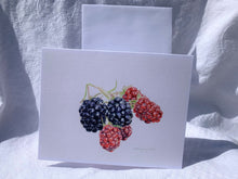 Load image into Gallery viewer, Blackberries "Little Gems" Notecards - pack of 3