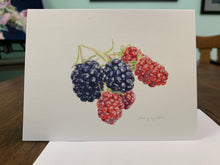 Load image into Gallery viewer, Blackberries "Little Gems" Notecards - pack of 3