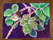 Load image into Gallery viewer, Faith, Hope, Love: Junco in Brambles Print, "Faith"