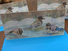 Load image into Gallery viewer, Baby Bluebirds Bathing Greeting Card, "Fledgling Birdbath"