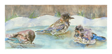 Load image into Gallery viewer, Bluebirds playing in birdbath