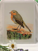 Load image into Gallery viewer, European Robin Print, "A Momentary Pause"