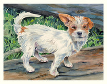 Load image into Gallery viewer, Pet Dog, Jack Russell Terrier Greeting Card, "Rufus"