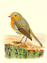 Load image into Gallery viewer, European Robin Print, "A Momentary Pause"