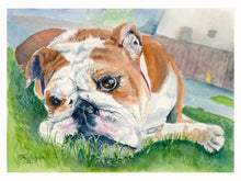 Load image into Gallery viewer, Pet Dog, Bulldog Greeting Card, "Sadie"