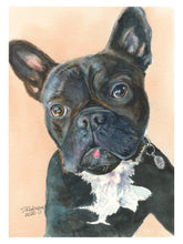 Load image into Gallery viewer, Pet Dog, French Bulldog Greeting Card, "Mischief"