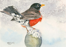 Load image into Gallery viewer, American Robin in winter greeting card