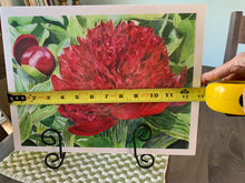 Load image into Gallery viewer, Red Peony Print, "Christy's Peony"