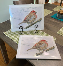 Load image into Gallery viewer, Red House Finch Print