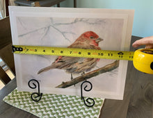 Load image into Gallery viewer, Red House Finch Print