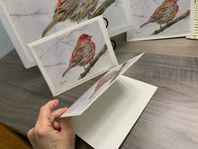 Load image into Gallery viewer, Red House Finch, Greeting Card