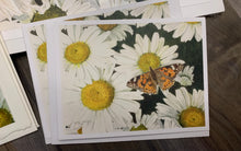 Load image into Gallery viewer, Daisies and Butterfly Notecards, "Radiance", pack of 3
