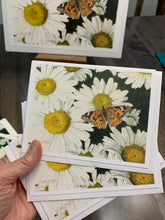 Load image into Gallery viewer, Daisies and Butterfly Notecards, "Radiance", pack of 3